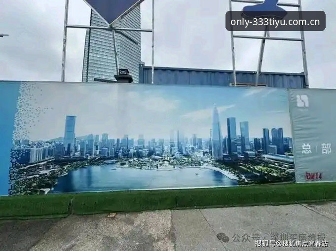 333体育平台官网认证入口功能详解：新手安全指南